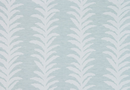 Kendall Vine 21228693