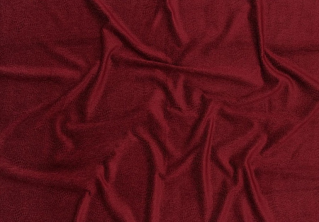 Josephine Baker 15321335