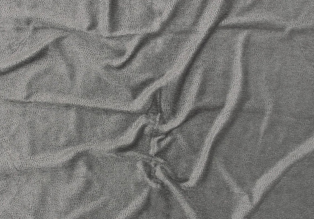 Josephine Baker 15321996