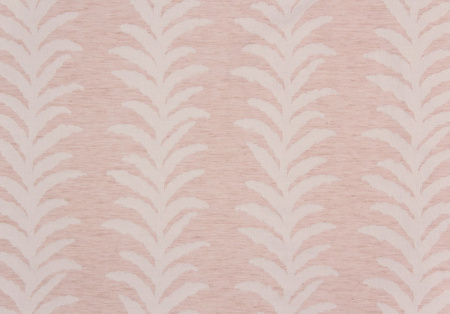 Kendall Vine 21228493