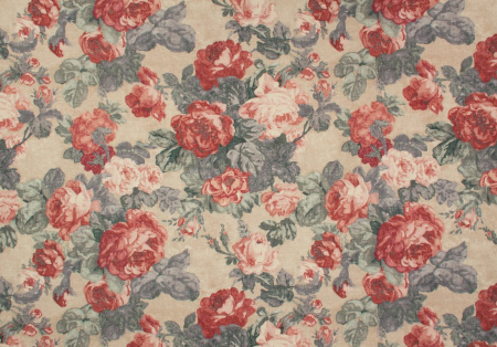 Rosemoor Garden 21188355