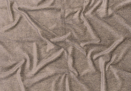 Josephine Baker 15321145