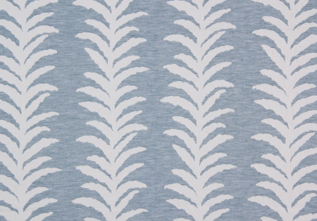 Kendall Vine 21228595