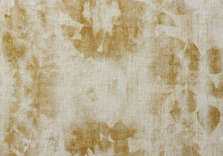 Andresweald 21247187