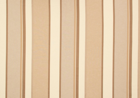 Derby Stripe 21206892