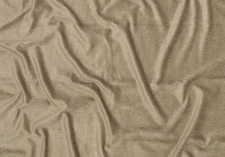 Josephine Baker 15321893