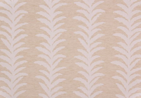 Kendall Vine 21228893