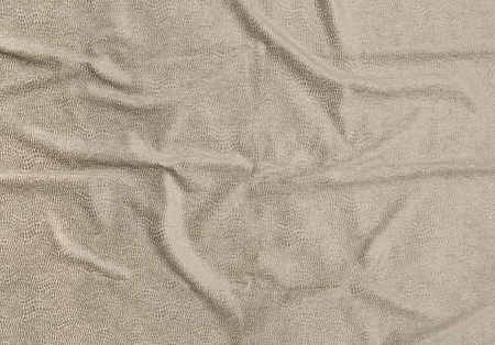 Josephine Baker 15321992