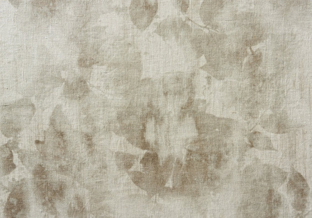 Andresweald 21247874