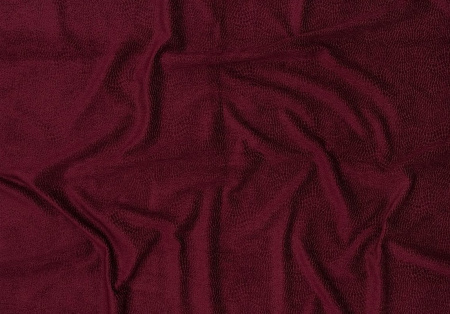 Josephine Baker 15321336