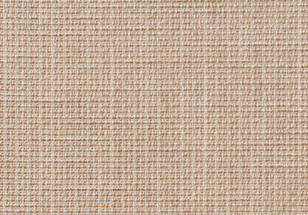 Clair de Lune 19569283