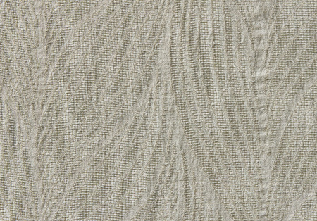 Lumière Des Étoiles 19564984