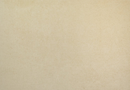 Fenton Chenille 21205981